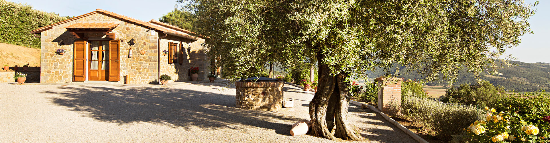 Nido degli Ulivi Cortona Tuscany